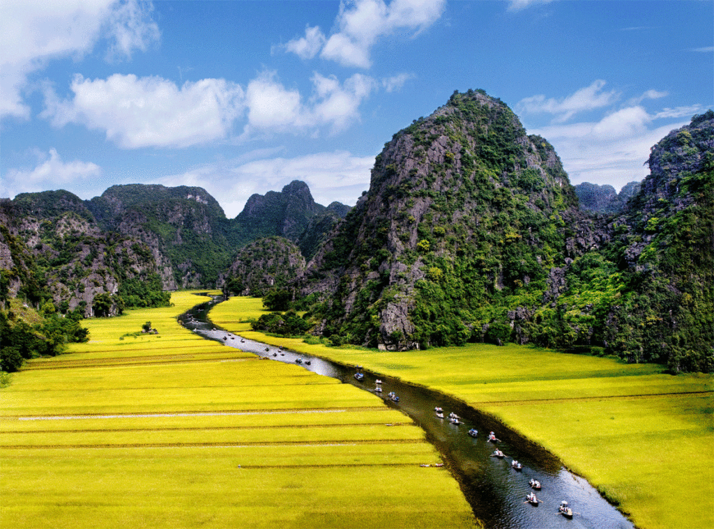 6 breathtaking fields in Northern Vietnam