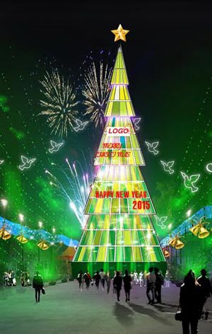 Binh Duong Province celebrate Christmas and New Year with 2 records